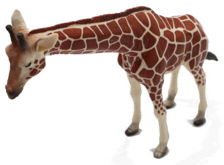 Mojo Female Giraffe - Front Angle View